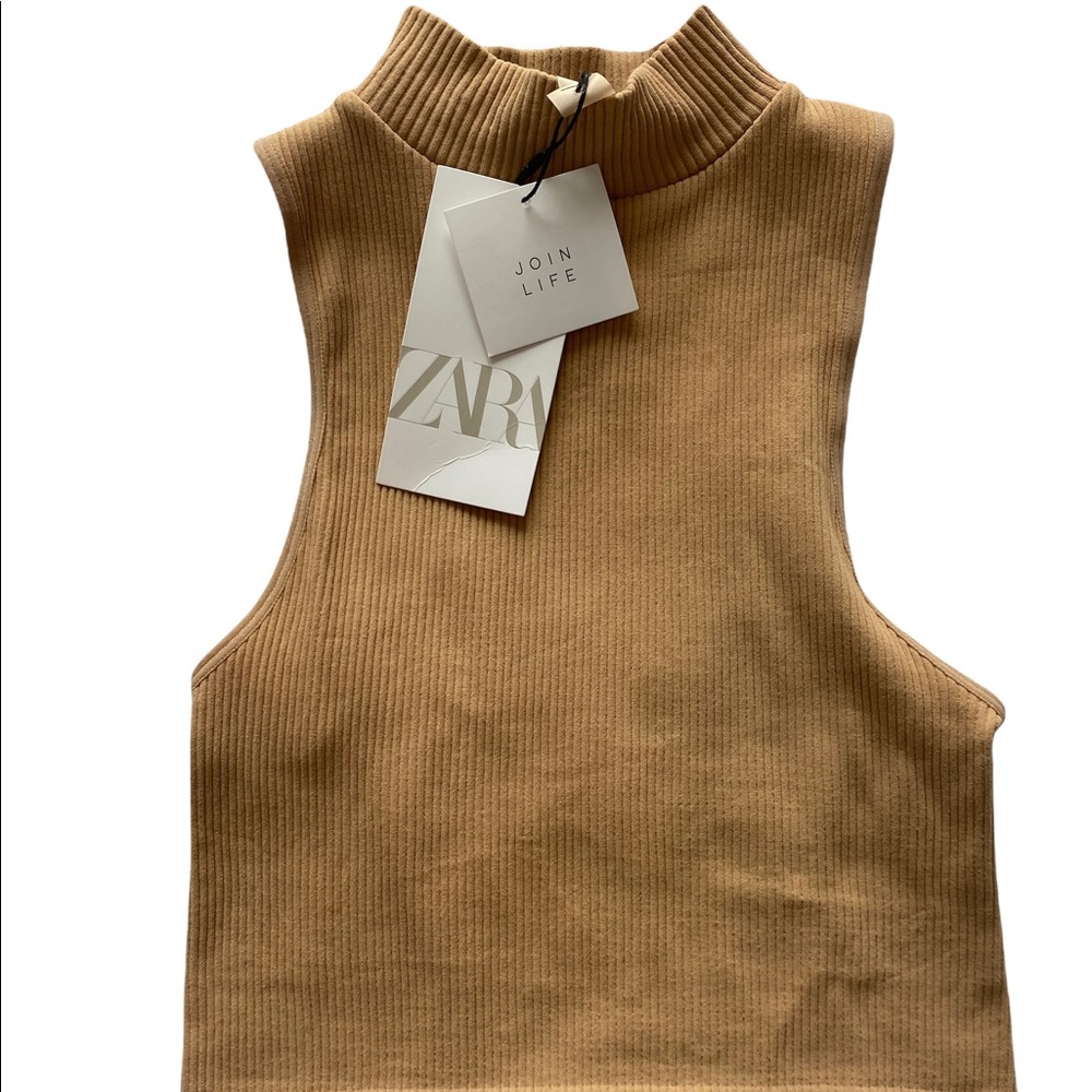 Zara Basic Mock Neck Crop Top